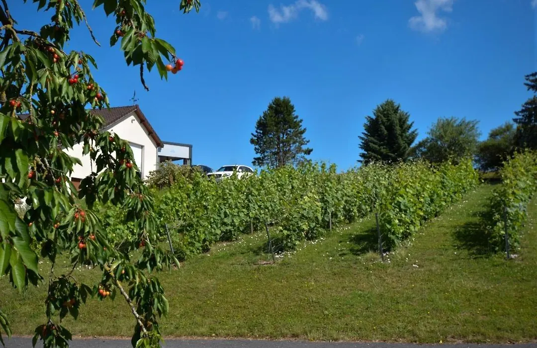 Le Clos Du Moulin-1