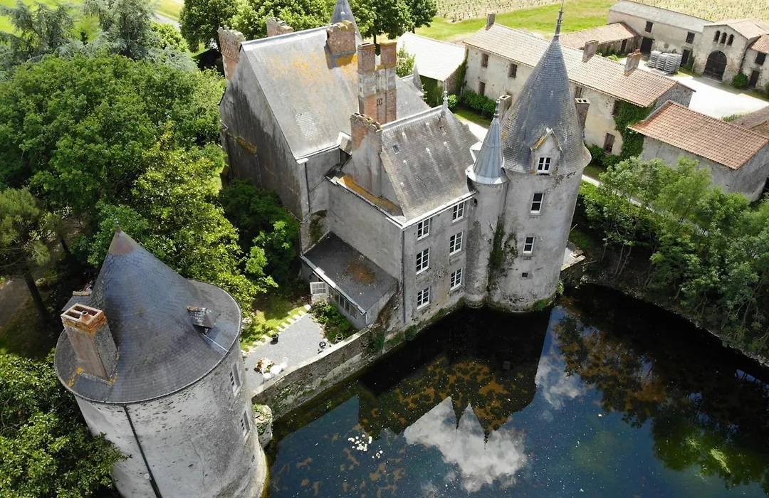 Chateau De La Preuille Bed & Breakfast-1