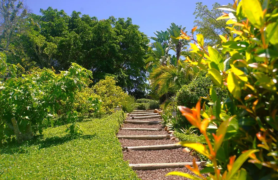 Swellendam Country Lodge - Guest House - B&B-1