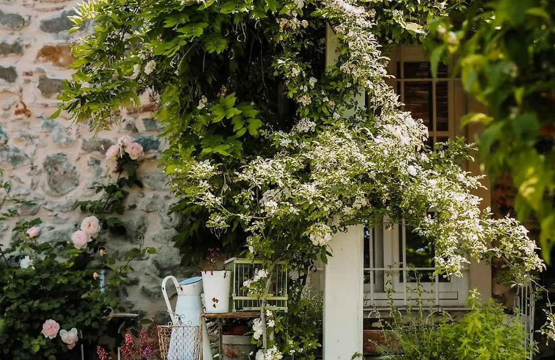 Le Molina B&B-1
