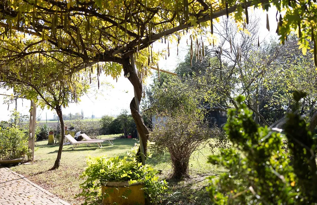 Locanda Acetaia Malagoli Daniele-1