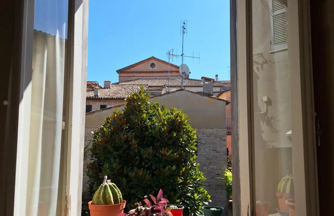 Pigiotto-1