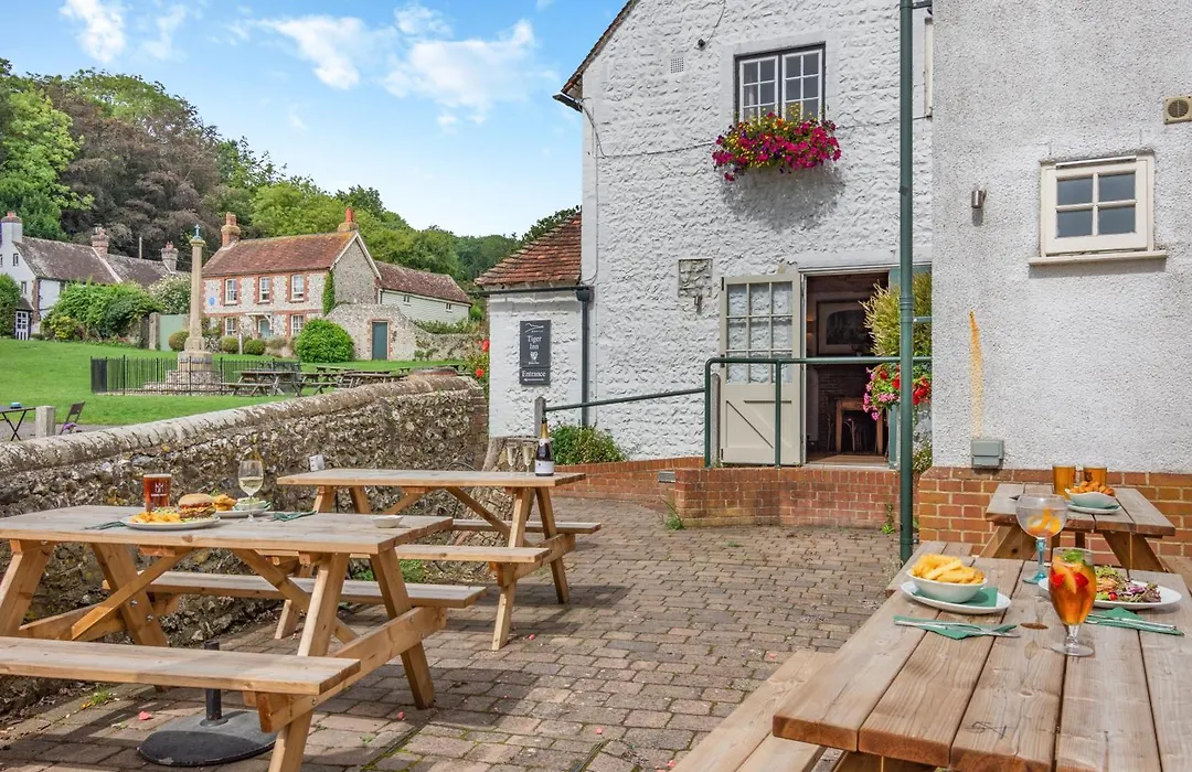 Tiger Inn - Catherine-1