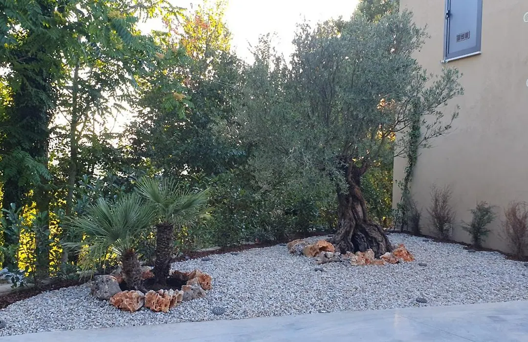 Vinea del Selvatico cascina agricola-1