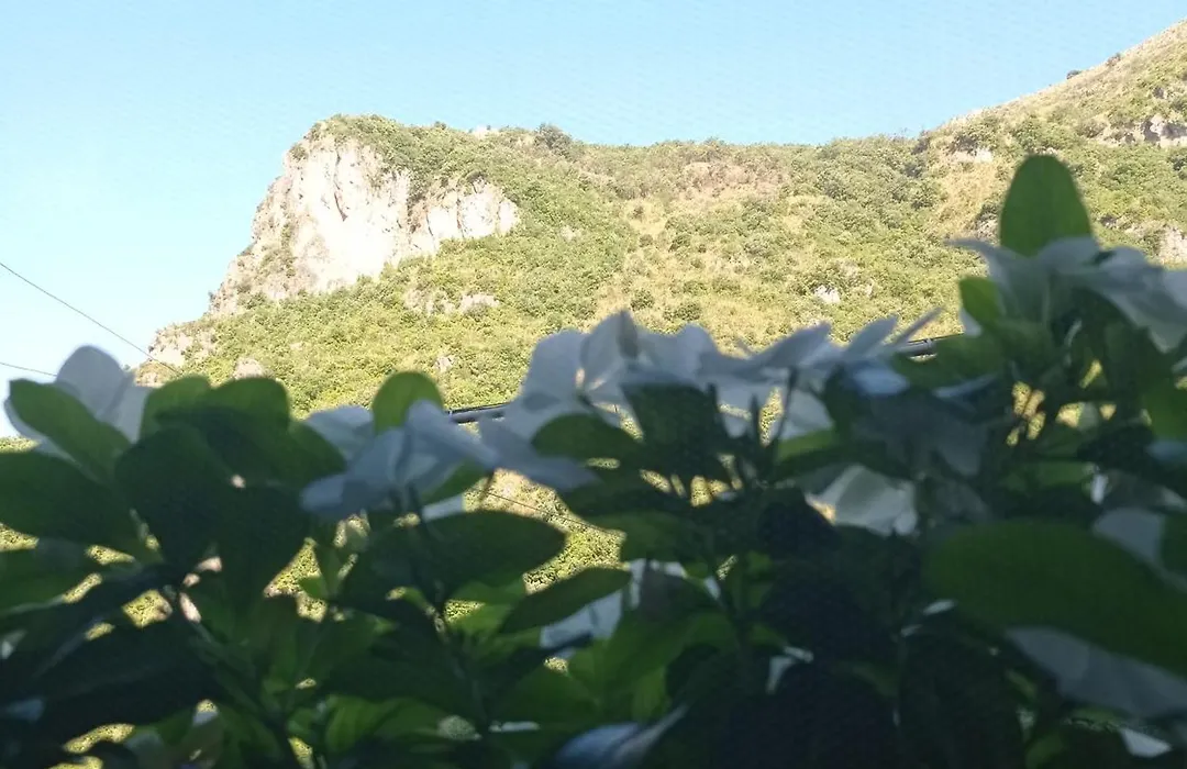 B&B San Nilo-1
