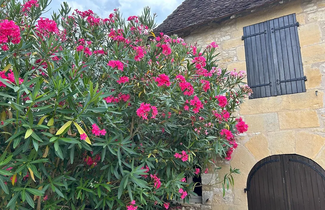 Demeure Du Vallon - Chambres D'Hotes De Charme-1
