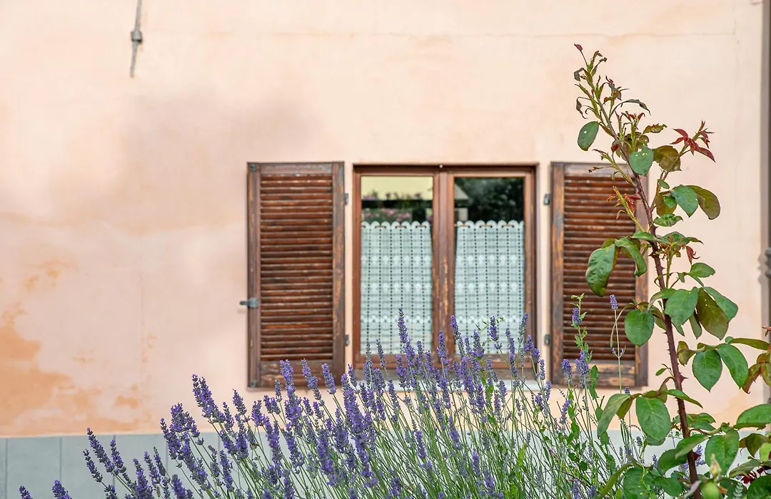 Agriturismo Cantine Bevione - Rooms With Air Conditioning-1