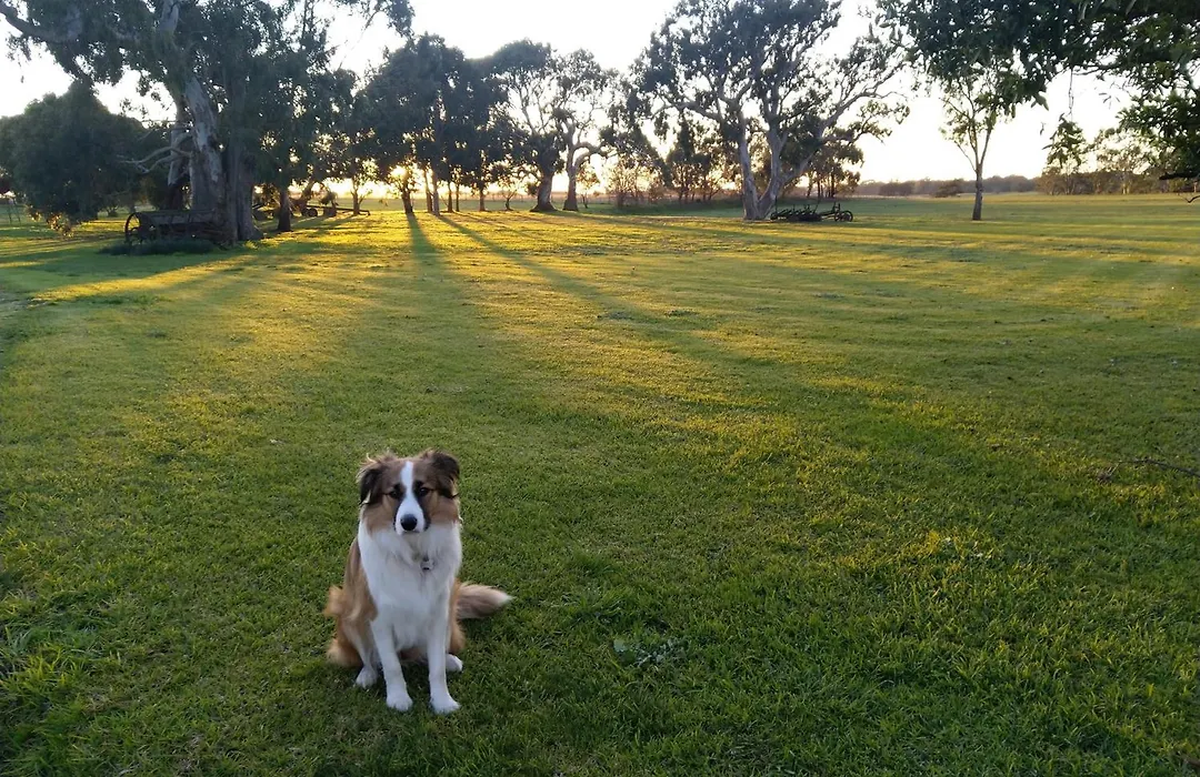 Kilmany Park Estate-1
