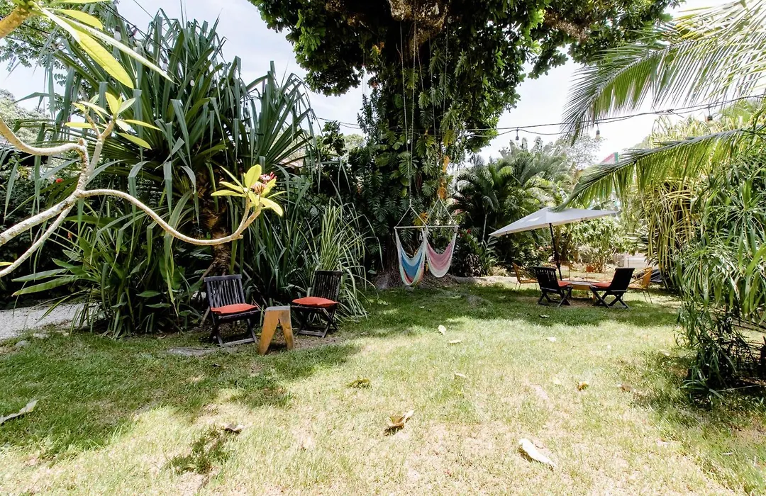 Bajo El Arbol B&B-1
