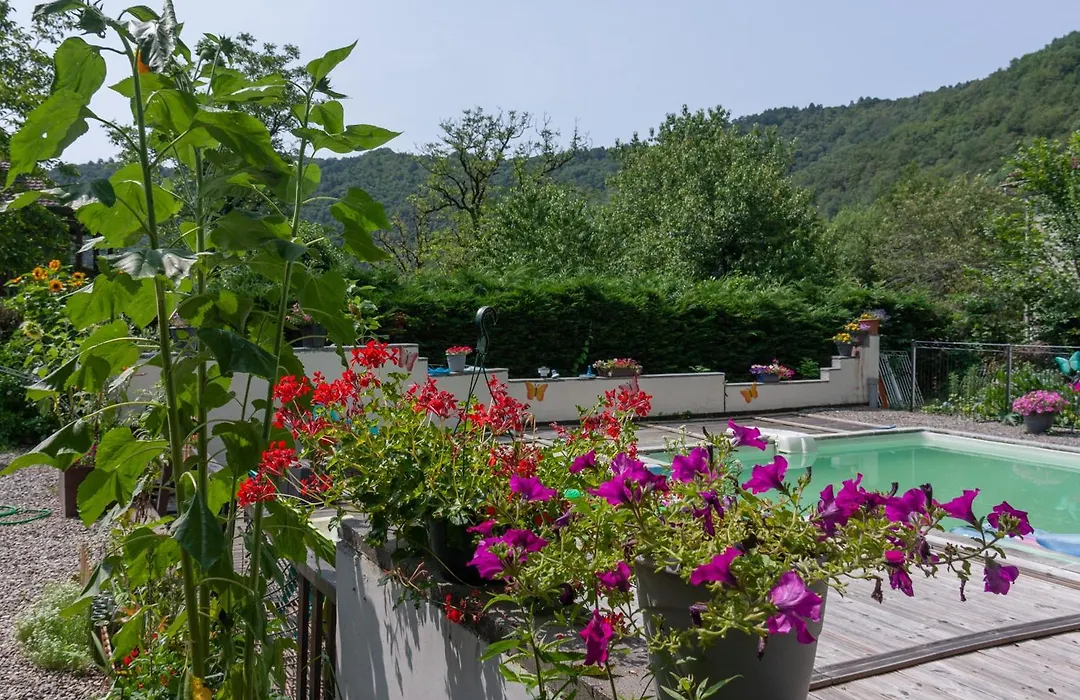 Carpe Diem Bed And Breakfast-1