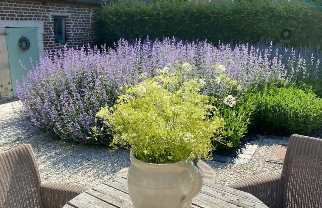 B&B Jadis et Naguère-1
