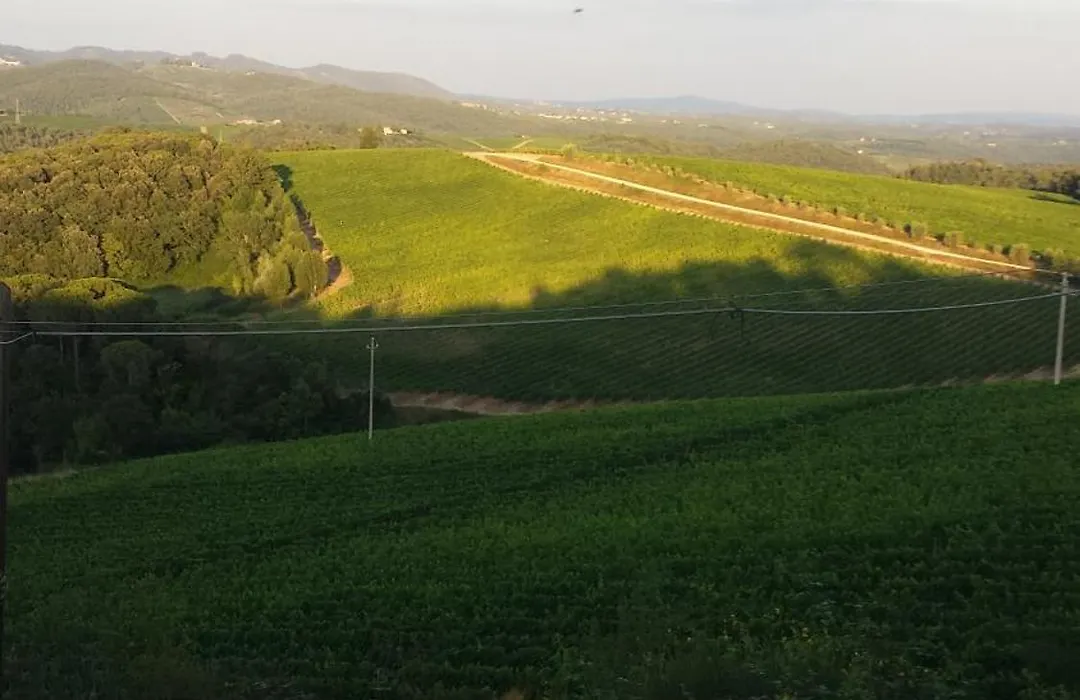 Borgo Carpineto-1