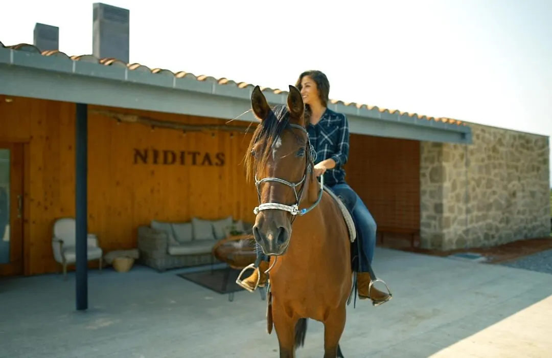 Suites Niditas-1