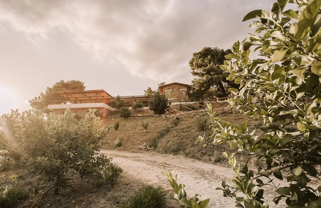Casale 700-1