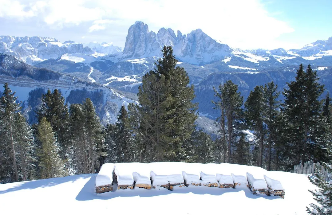 Chalet Resciesa Ortisei-1