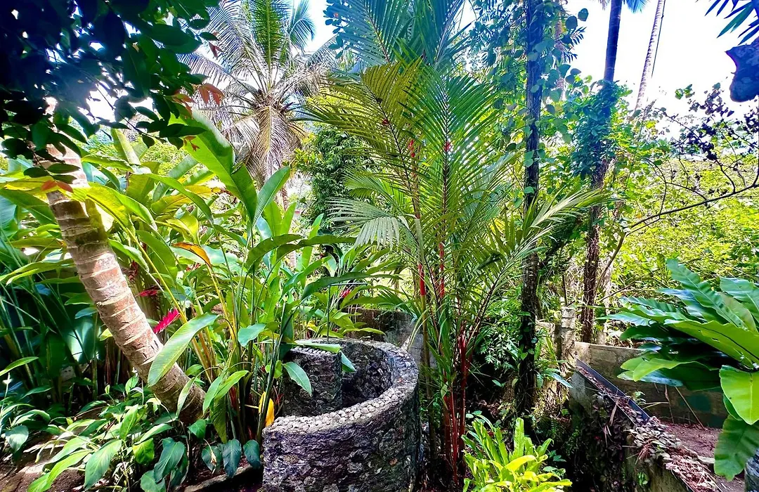 Jungle Fence-1