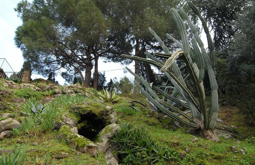 La Dimora Le Fumarole Rooms-1