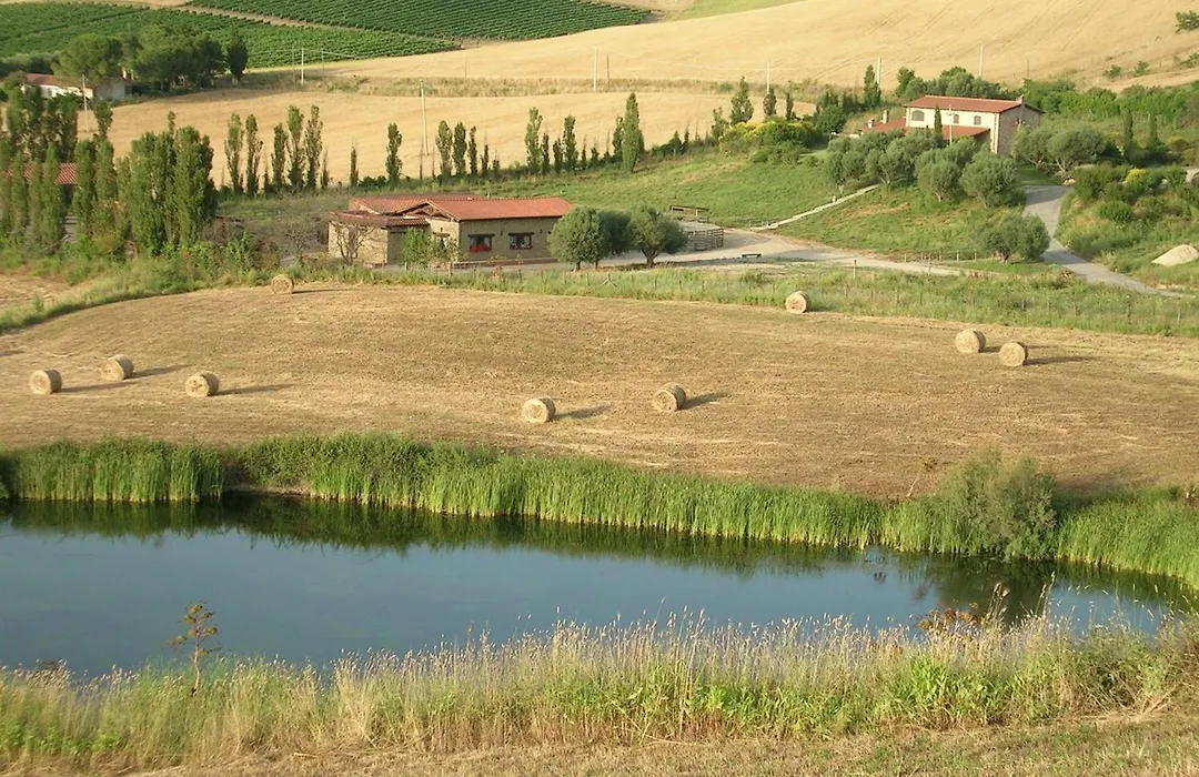Casale Farnesiana B&B-1