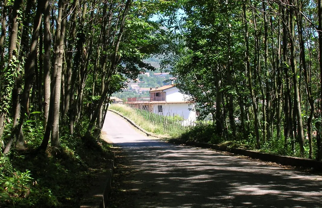 Casa Pendola-1
