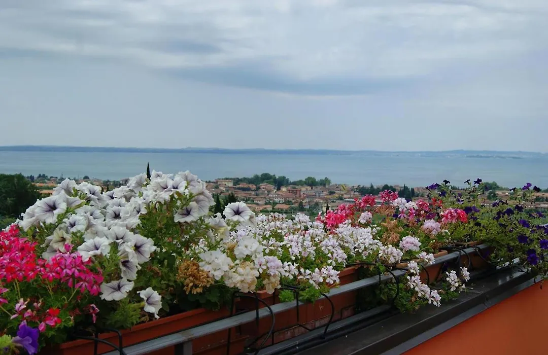 B&B Corte Frisonai-1