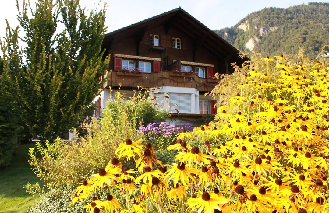 Adventure Guesthouse Interlaken-1