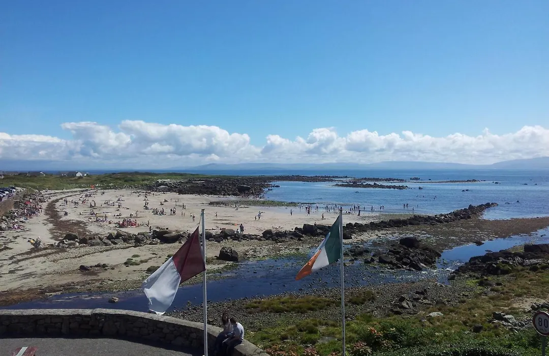 Padraicins-1