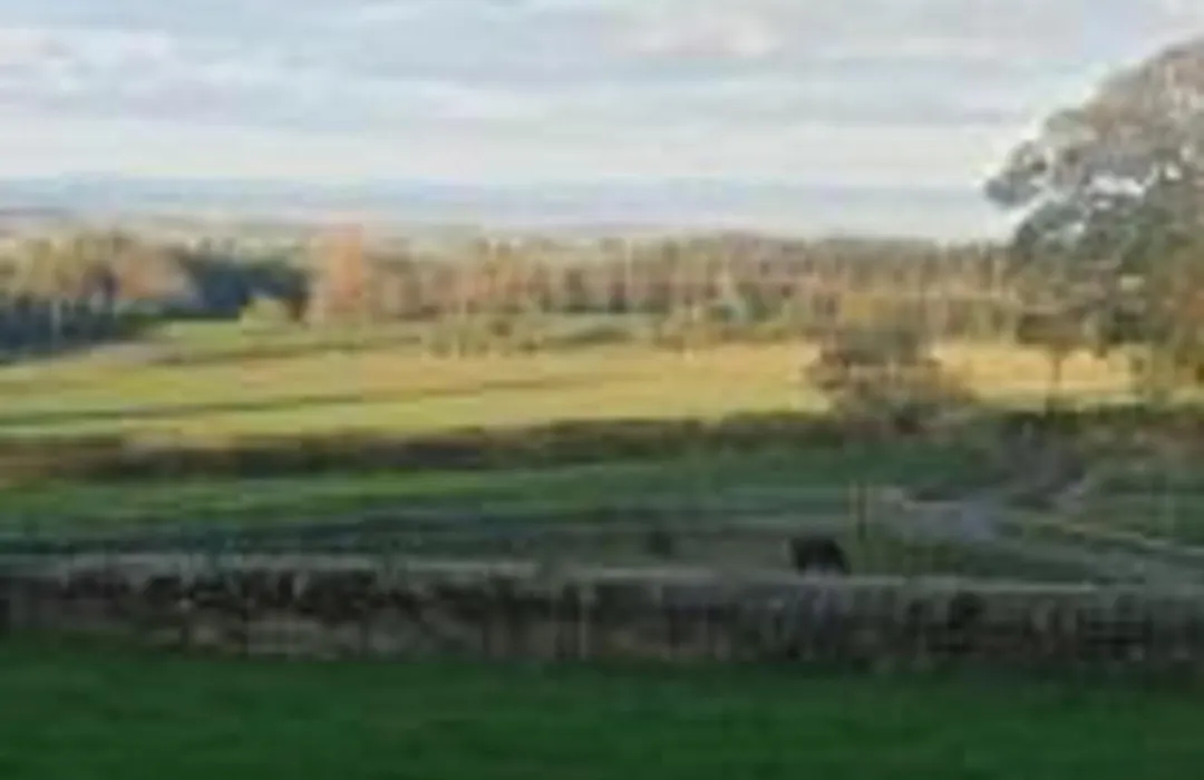 Low Gingerfield Farm B&B-1