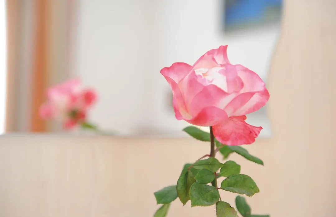 Hotel-Garni Seestrand-1