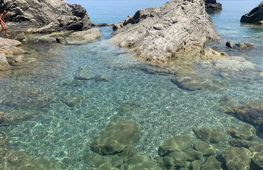 Il Fiore Bianco-1