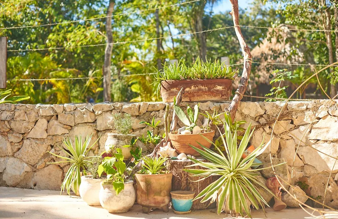 Villa Agua y Fuego-1