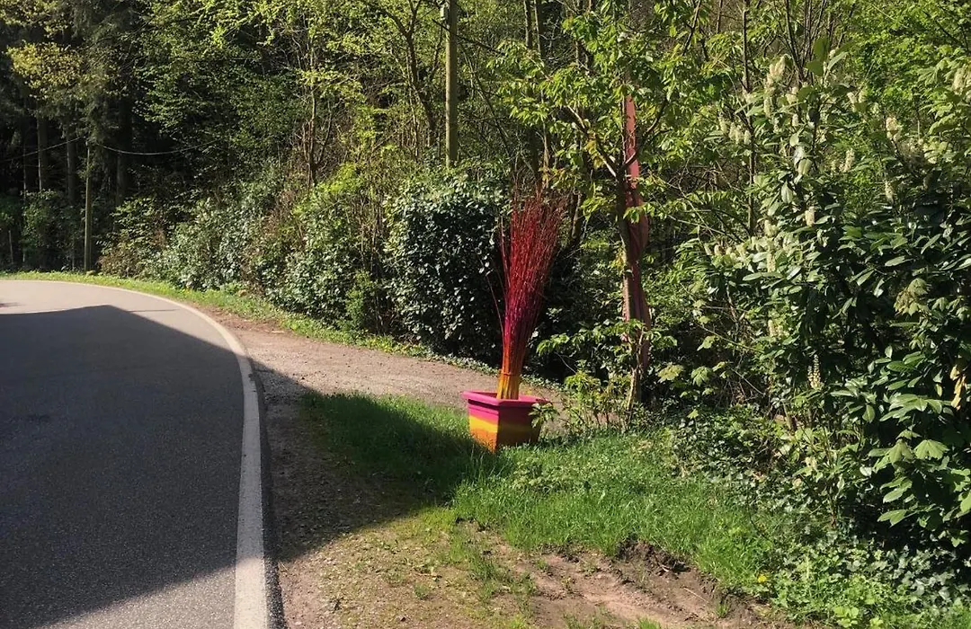 Haus 3 Birken-1