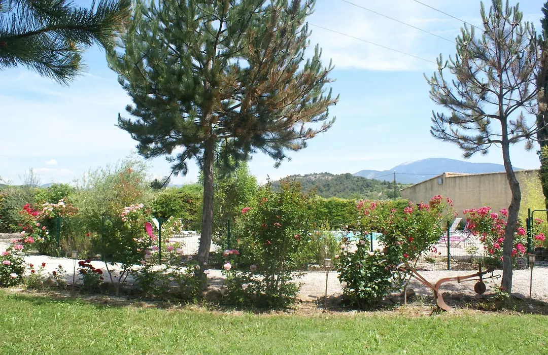 Les Romarins-1
