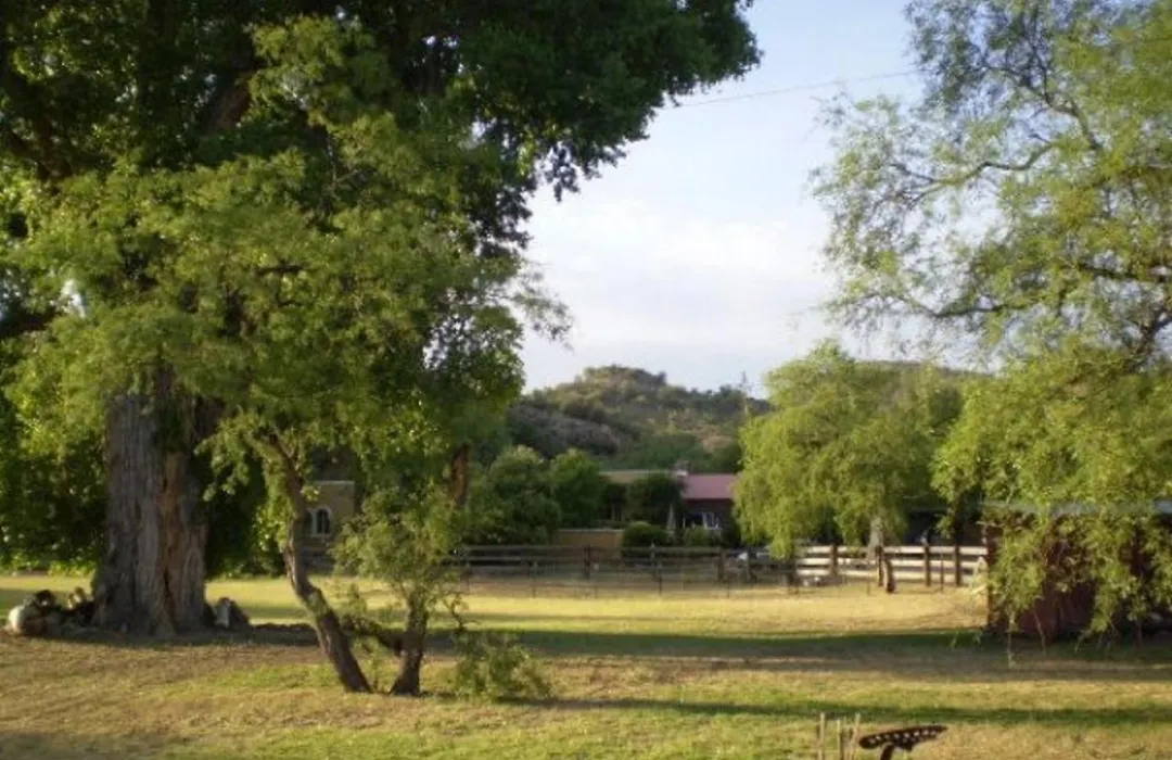 Spirit Tree Inn B&B-1