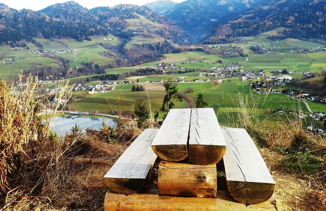 Ortnerhof Ennstal-1