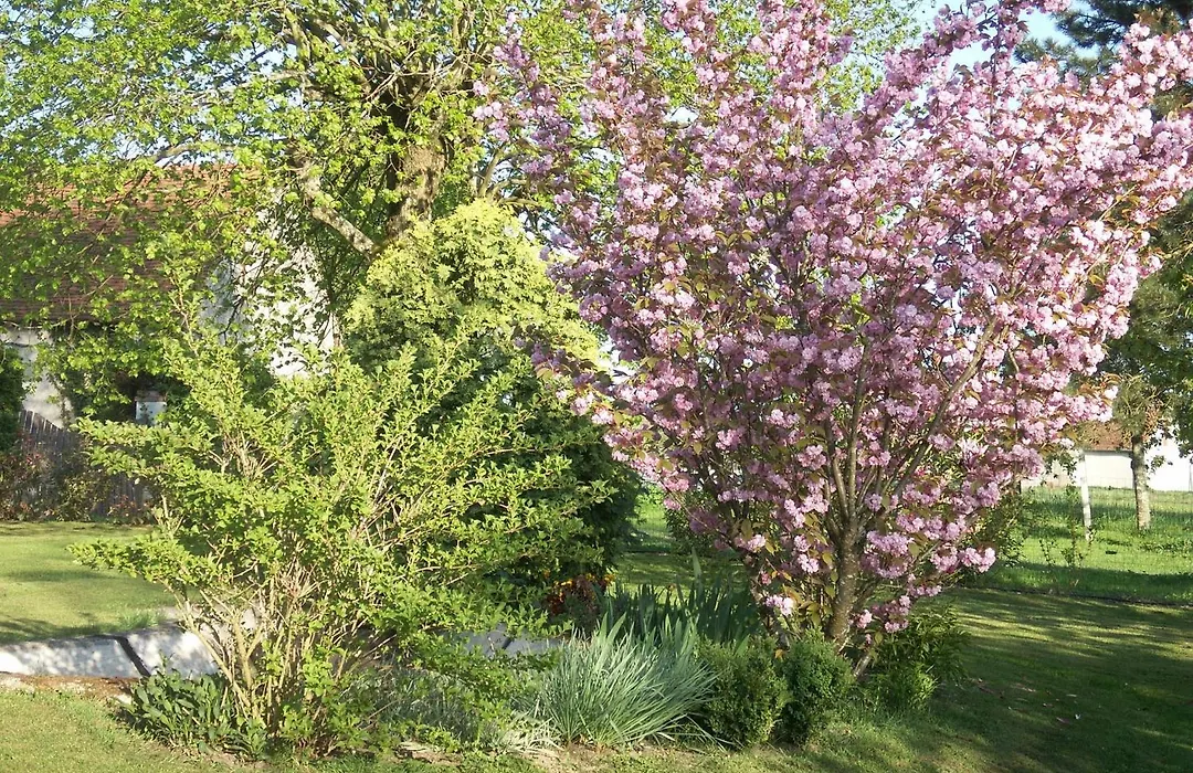 Le Clos des Perraudières-1
