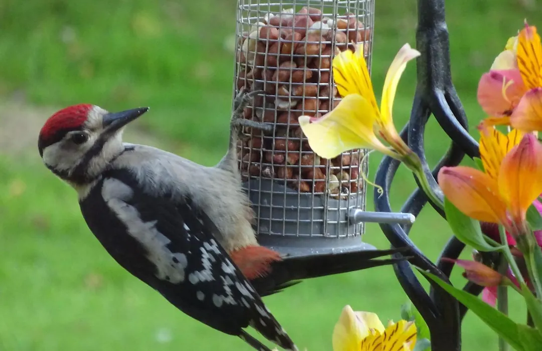 Yew Tree Farm-1