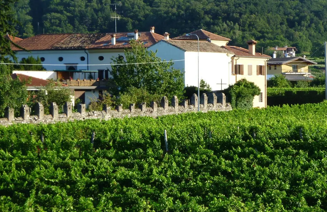 Agriturismo Grillo Iole Winery-1