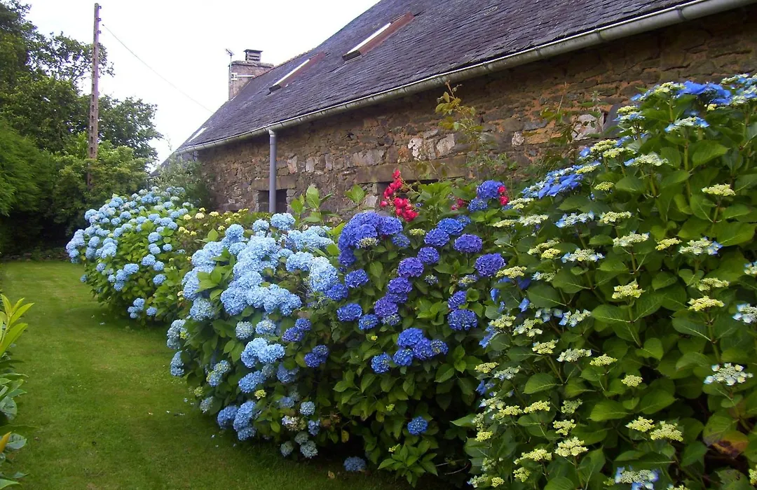 Le Boterff Gites et Camping-1