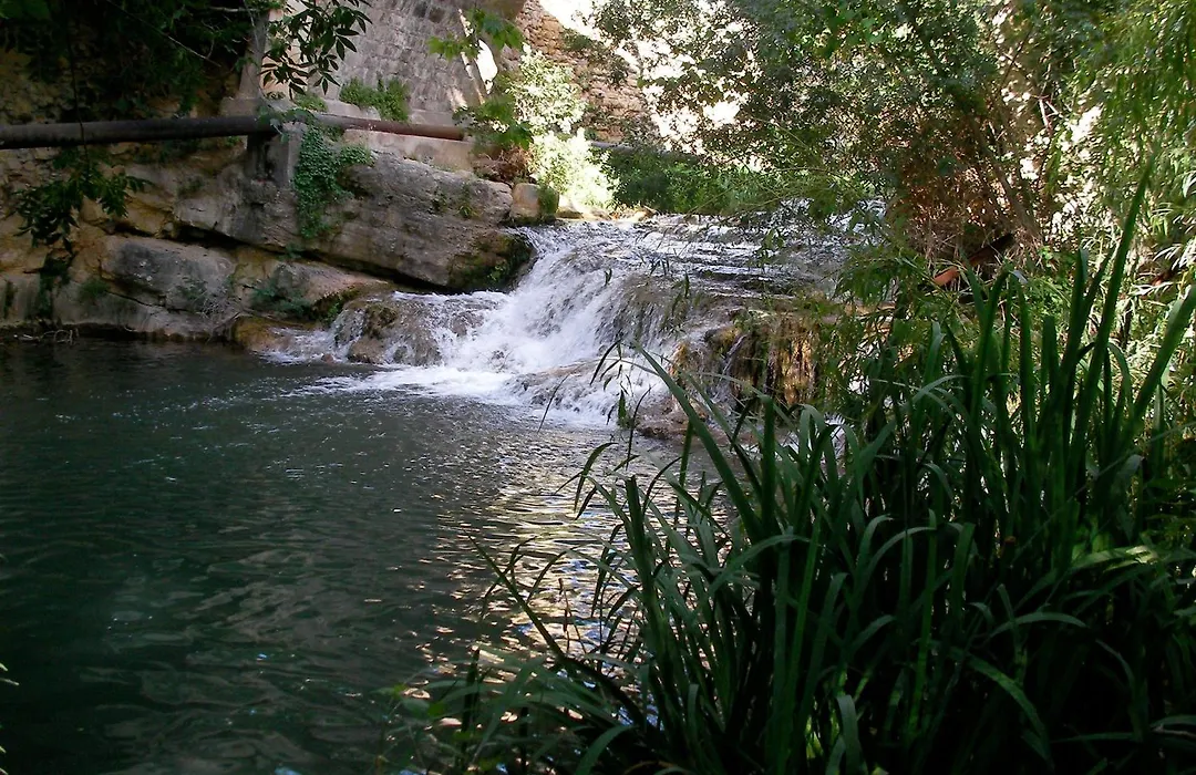 Le Vieux Moulin-1
