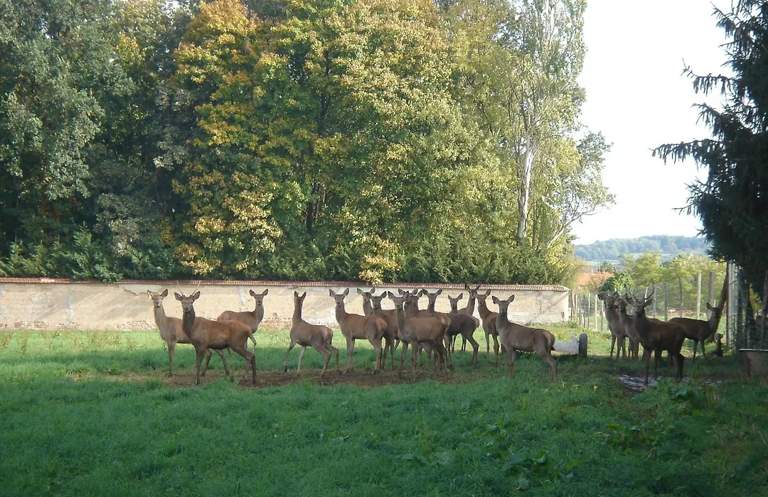 La Ferme Aux Biches-1
