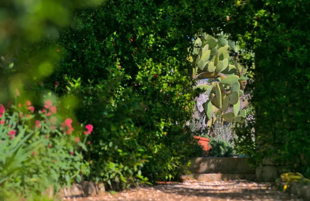 Masseria Trullo Sovrano Exclusive B&B-1