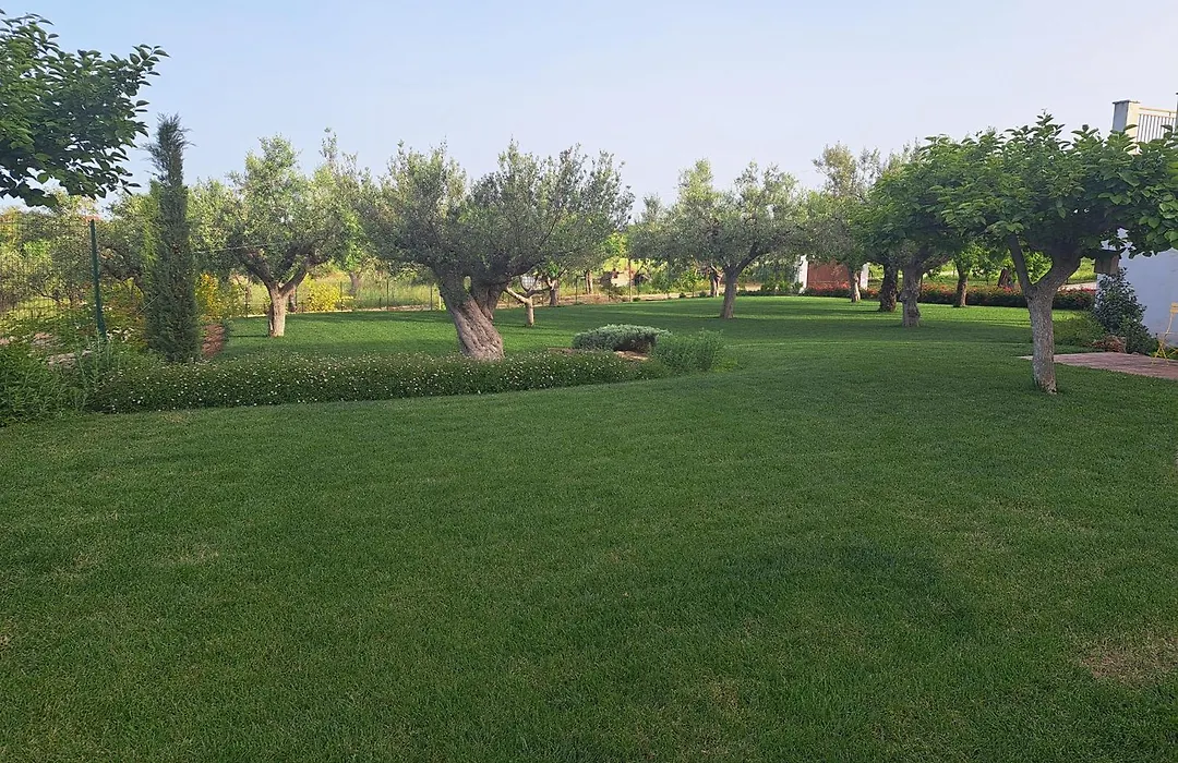 Tenuta Porello-1