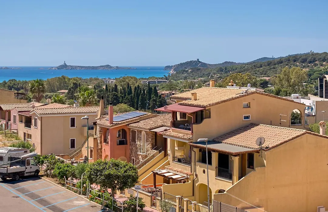Simius Bay-1