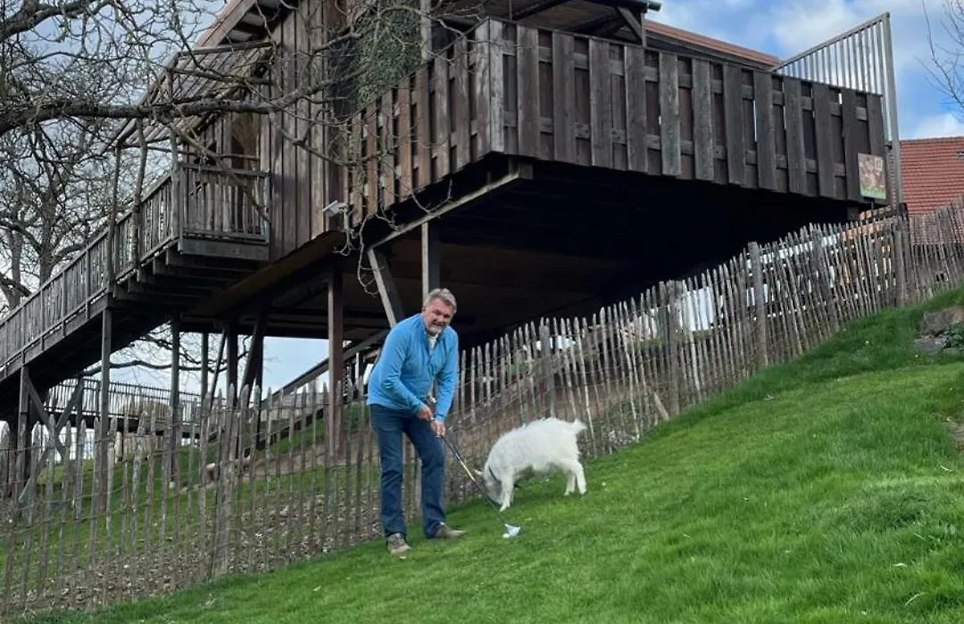 Cabane dans les arbres / Swin-golf de Cremin-1
