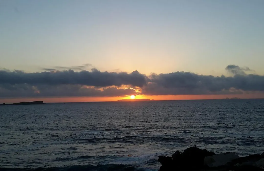 Pequena Baleia-1
