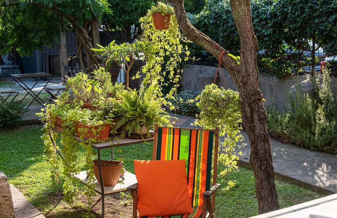 B&B L' Orangerie-1