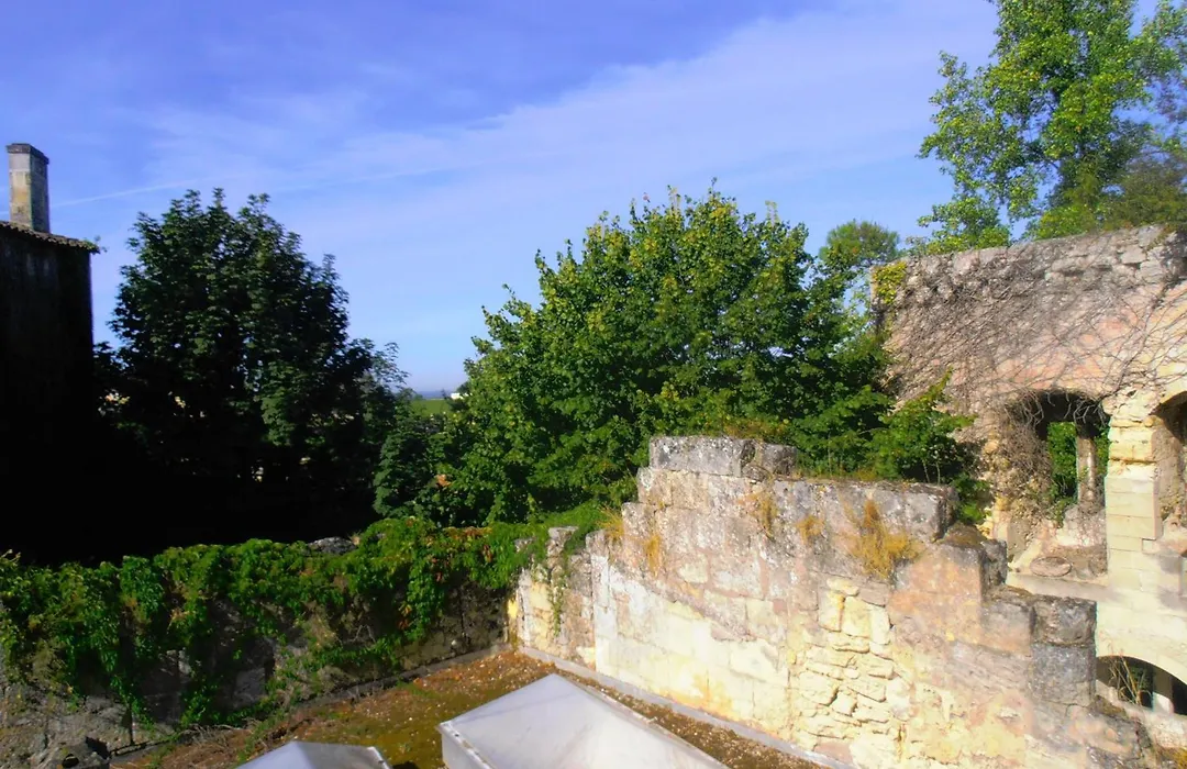 Vignobles Fabris-1