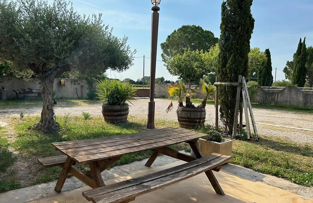 Bella Vida-1