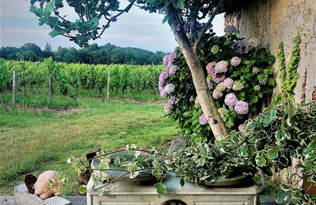 Chateau le Truch-1