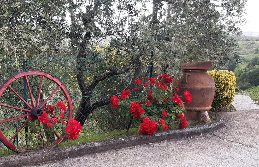 B&B I Coppi-1